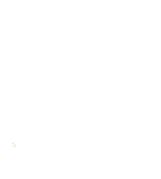 aboutgamzemethodlogo